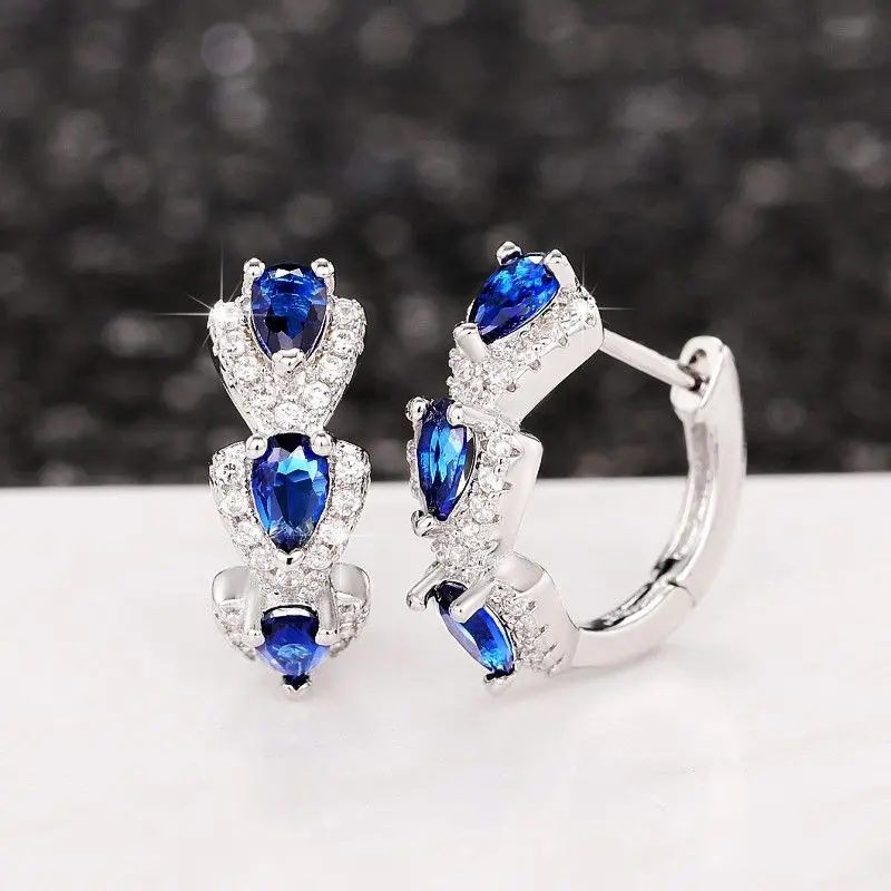 Elegant Blue Crystal Silver Earrings